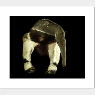 Giant anteater Posters and Art